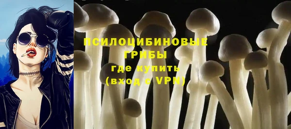 дживик Абаза