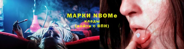 прущие грибы Алзамай
