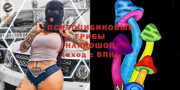 прущие грибы Алзамай
