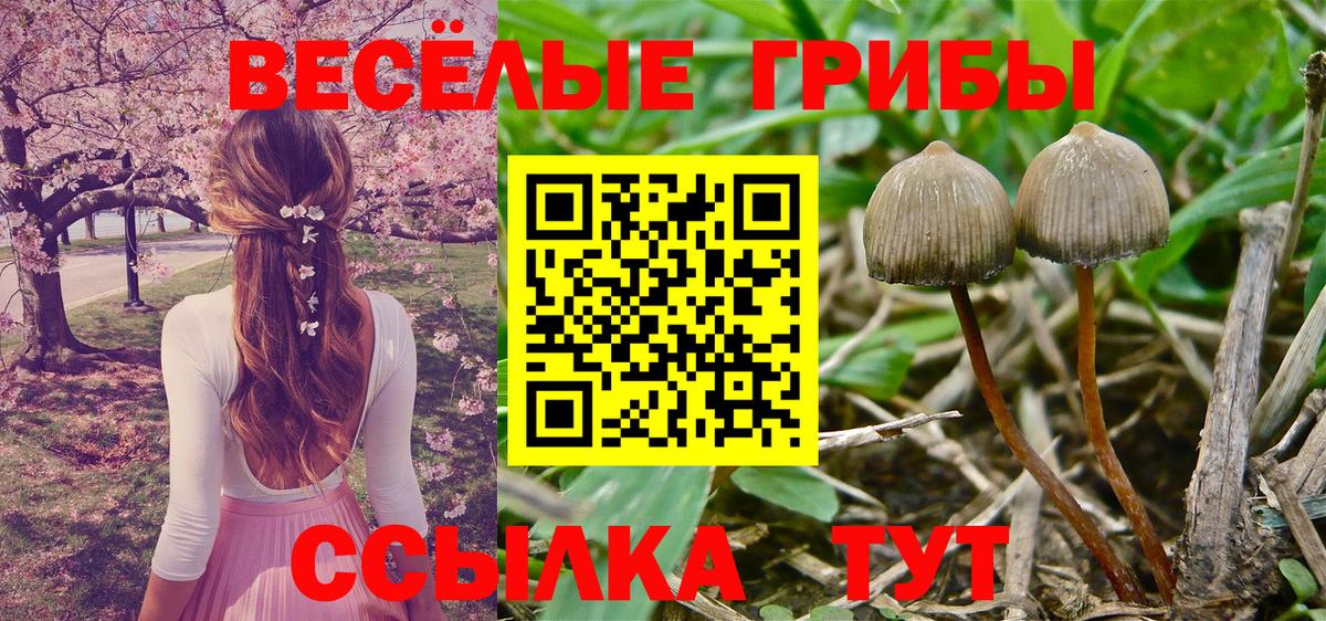 Псилоцибиновые грибы ЛСД Татарск