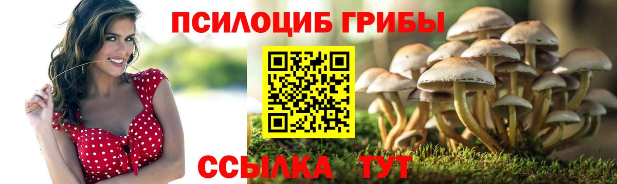 Псилоцибиновые грибы GOLDEN TEACHER  Псилоцибиновые грибы Cubensis  Вход с VPN  Татарск 