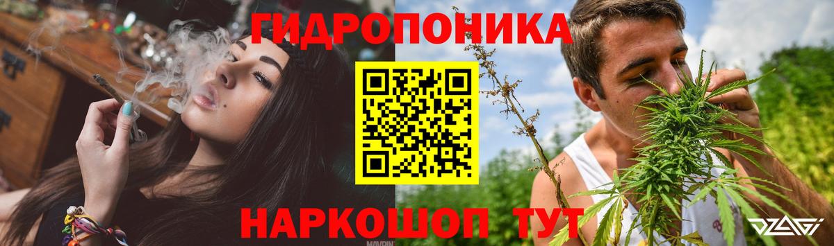 Канабис OG Kush Татарск